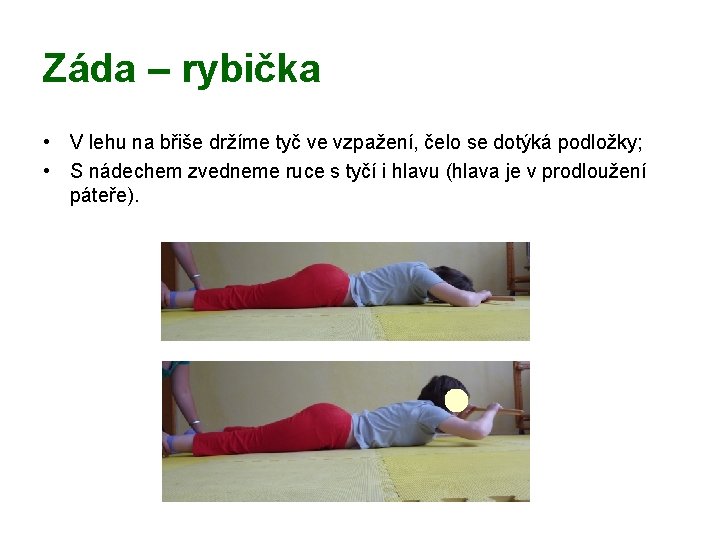 Záda – rybička • V lehu na břiše držíme tyč ve vzpažení, čelo se