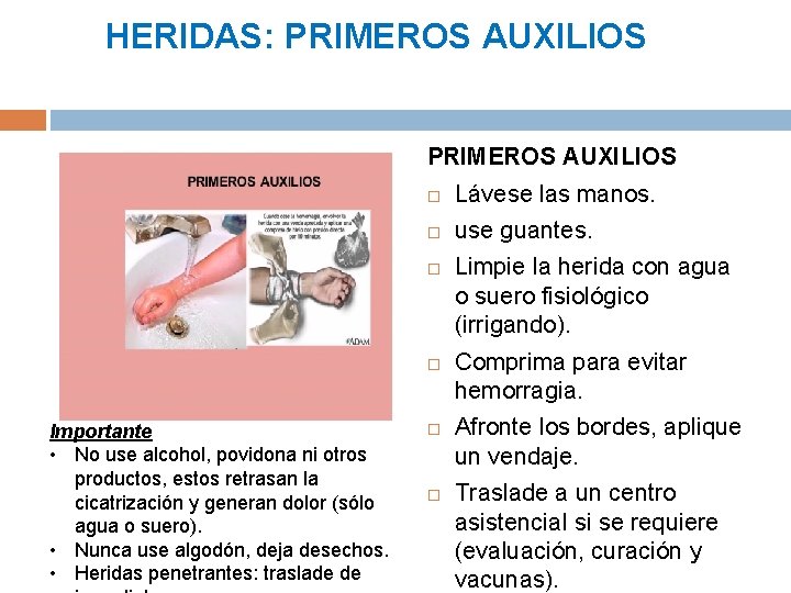 HERIDAS: PRIMEROS AUXILIOS Lávese las manos. use guantes. Importante • No use alcohol, povidona