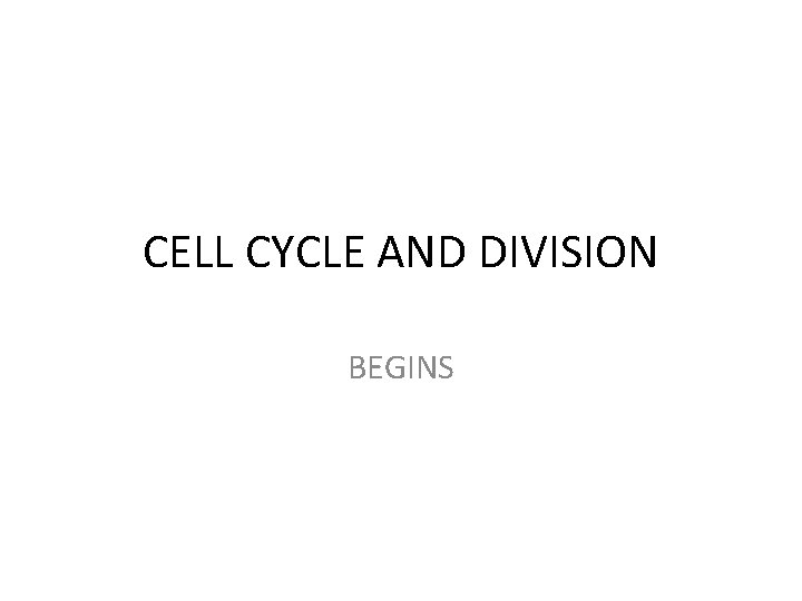 CELL CYCLE AND DIVISION BEGINS 