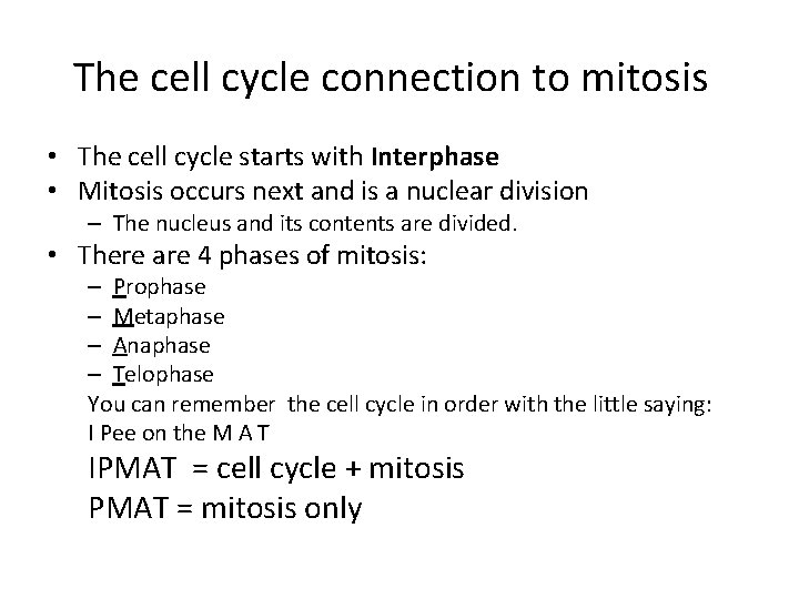 The cell cycle connection to mitosis • The cell cycle starts with Interphase •