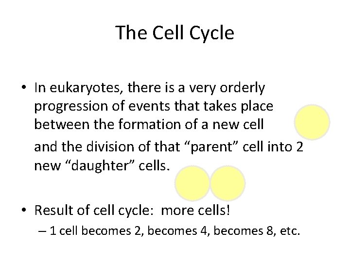 The Cell Cycle • In eukaryotes, there is a very orderly progression of events