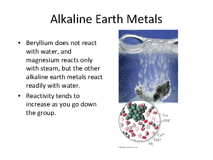 Alkaline Earth Metals • Beryllium does not react with water, and magnesium reacts only