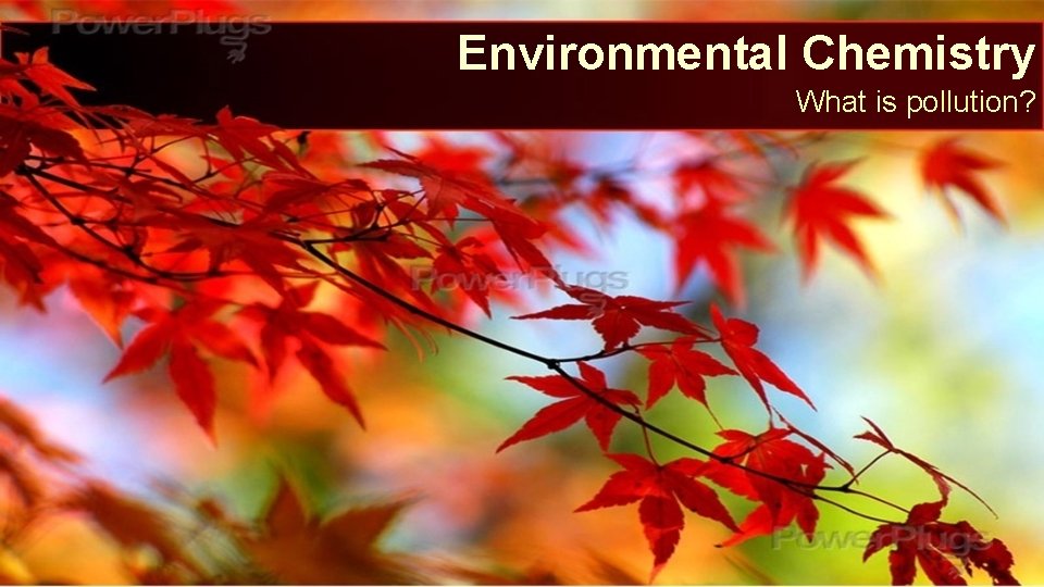 Environmental Chemistry What is pollution? 