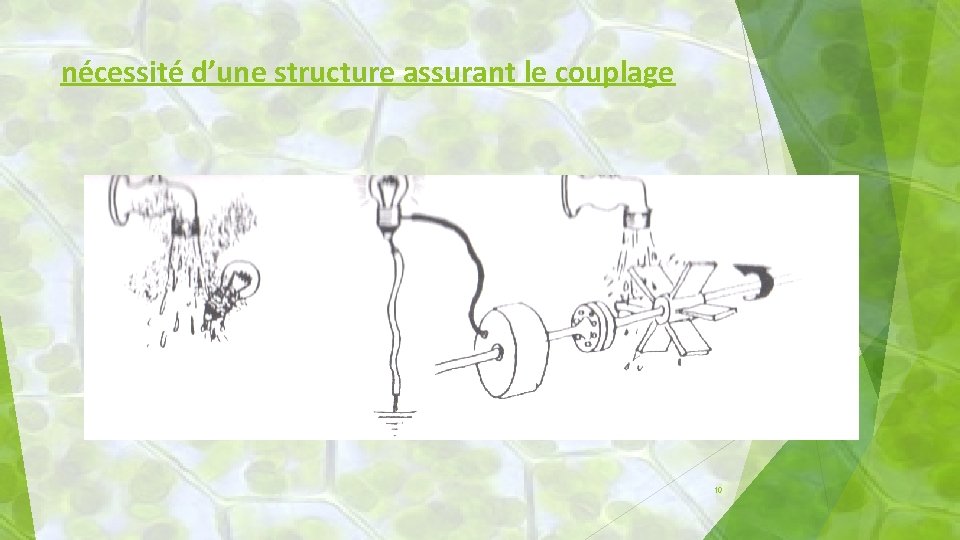 nécessité d’une structure assurant le couplage 10 