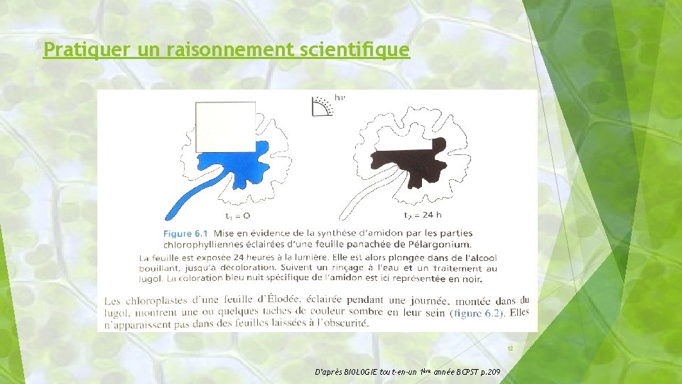 Pratiquer un raisonnement scientifique 12 D’après BIOLOGIE tout-en-un 1ère année BCPST p. 209 