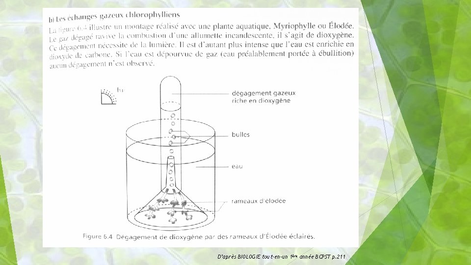 15 D’après BIOLOGIE tout-en-un 1ère année BCPST p. 211 
