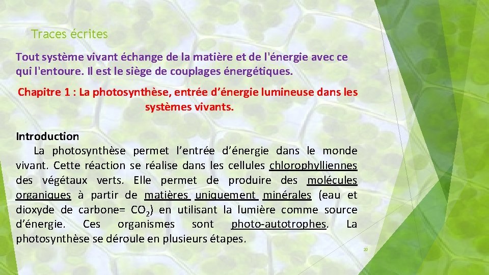 Traces écrites Tout système vivant échange de la matière et de l'énergie avec ce