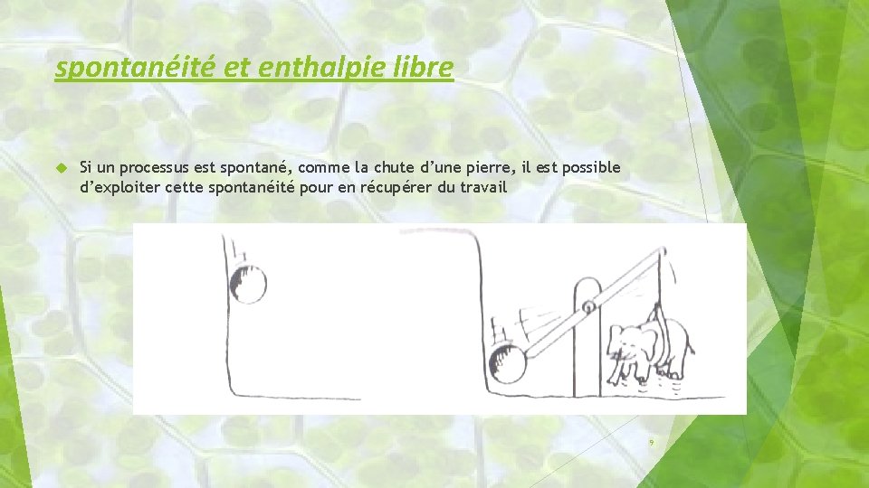 spontanéité et enthalpie libre Si un processus est spontané, comme la chute d’une pierre,