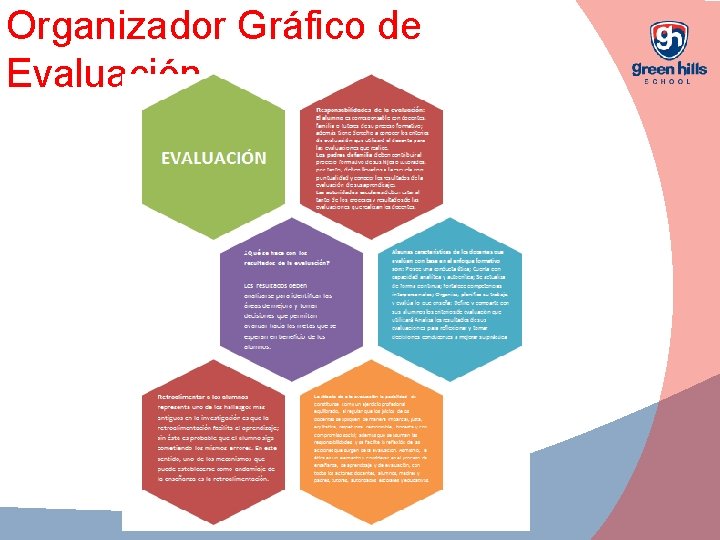 Organizador Gráfico de Evaluación 