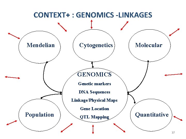 CONTEXT+ : GENOMICS -LINKAGES Mendelian Cytogenetics Molecular GENOMICS Genetic markers DNA Sequences Linkage/Physical Maps