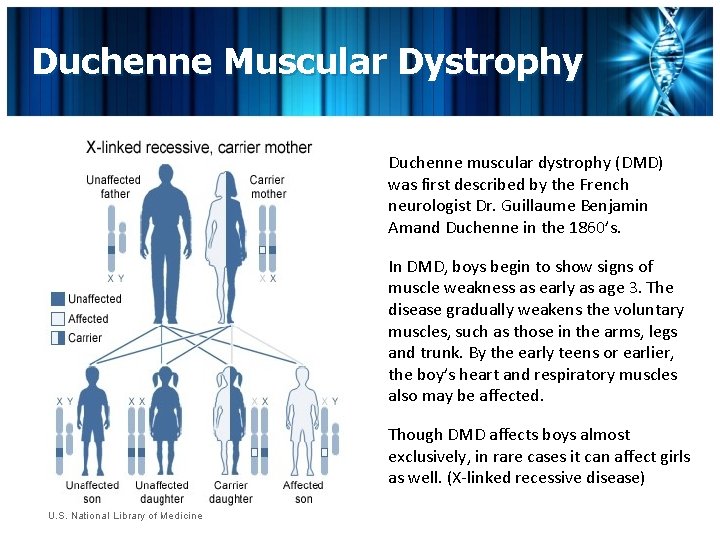 Duchenne Muscular Dystrophy Duchenne muscular dystrophy (DMD) was first described by the French neurologist