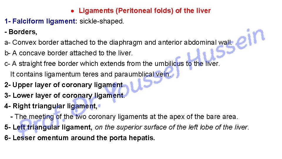  Ligaments (Peritoneal folds) of the liver 1 - Falciform ligament: sickle-shaped. - Borders,