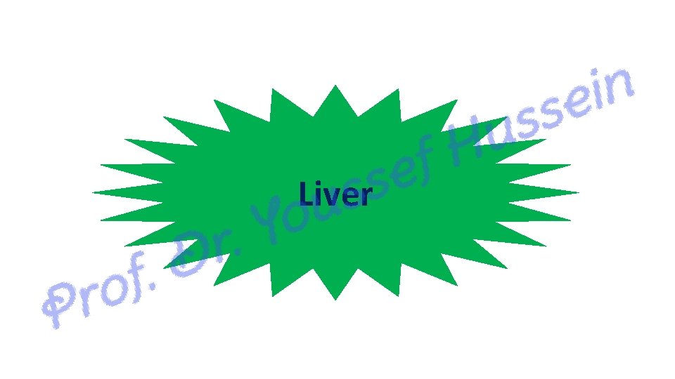 Liver 