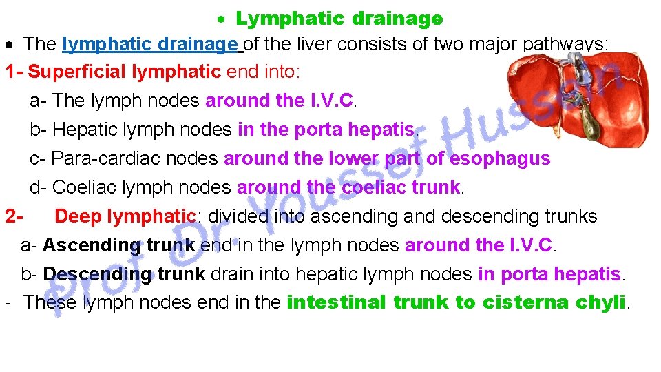  Lymphatic drainage The lymphatic drainage of the liver consists of two major pathways: