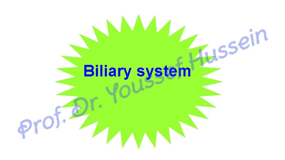 Biliary system 