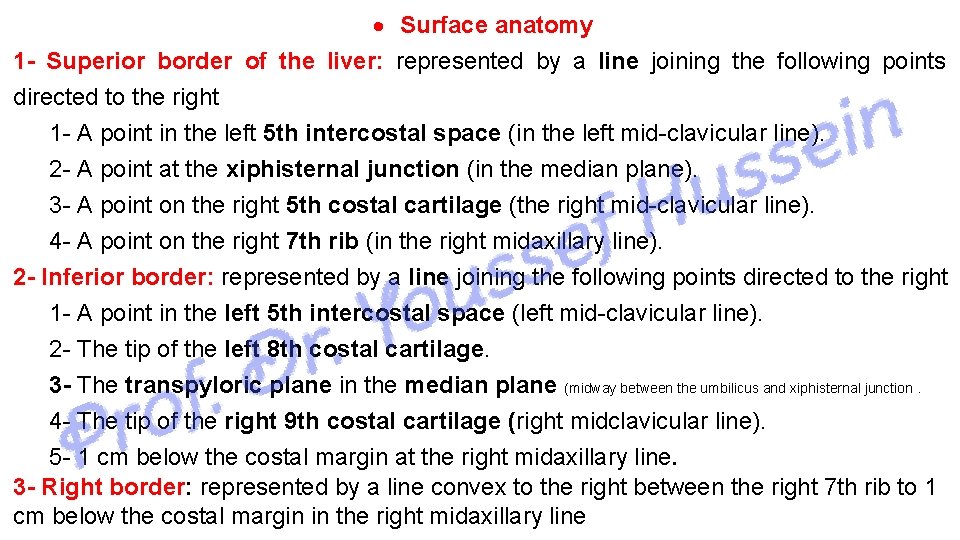  Surface anatomy 1 - Superior border of the liver: represented by a line