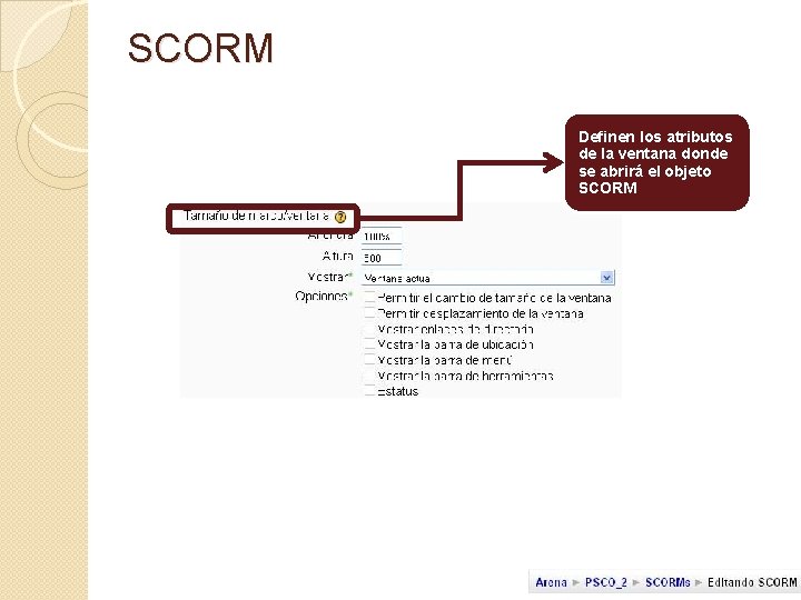 SCORM Definen los atributos de la ventana donde se abrirá el objeto SCORM 