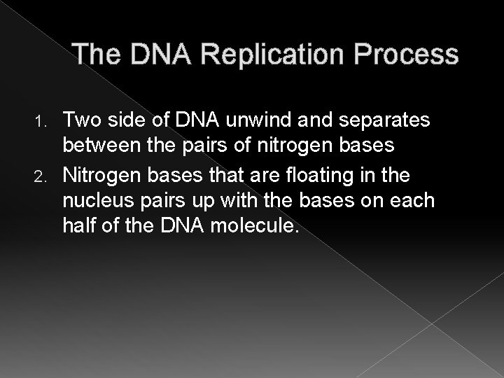 The DNA Replication Process Two side of DNA unwind and separates between the pairs The DNA Replication Process Two side of DNA unwind and separates between the pairs