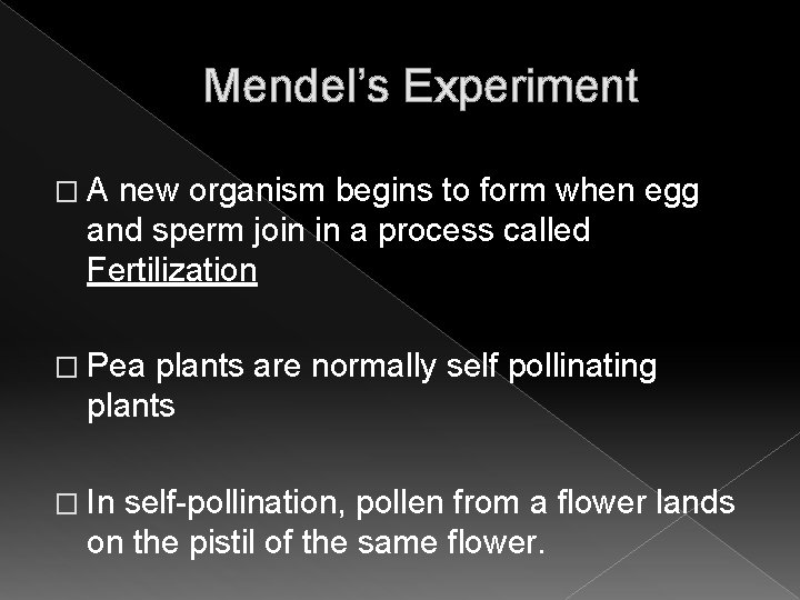 Mendel’s Experiment �A new organism begins to form when egg and sperm join in Mendel’s Experiment �A new organism begins to form when egg and sperm join in