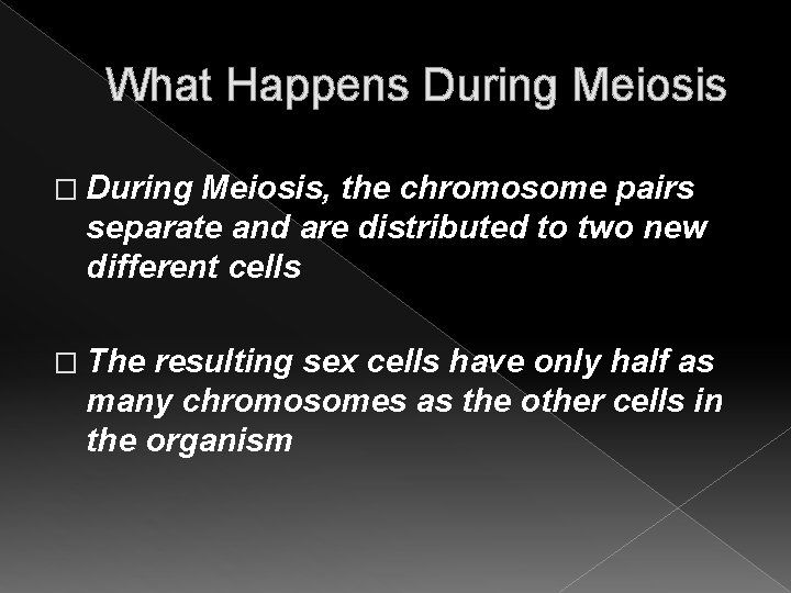 What Happens During Meiosis � During Meiosis, the chromosome pairs separate and are distributed What Happens During Meiosis � During Meiosis, the chromosome pairs separate and are distributed
