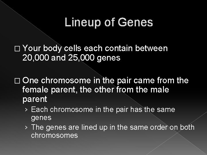 Lineup of Genes � Your body cells each contain between 20, 000 and 25, Lineup of Genes � Your body cells each contain between 20, 000 and 25,