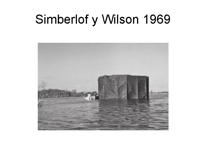 Simberlof y Wilson 1969 