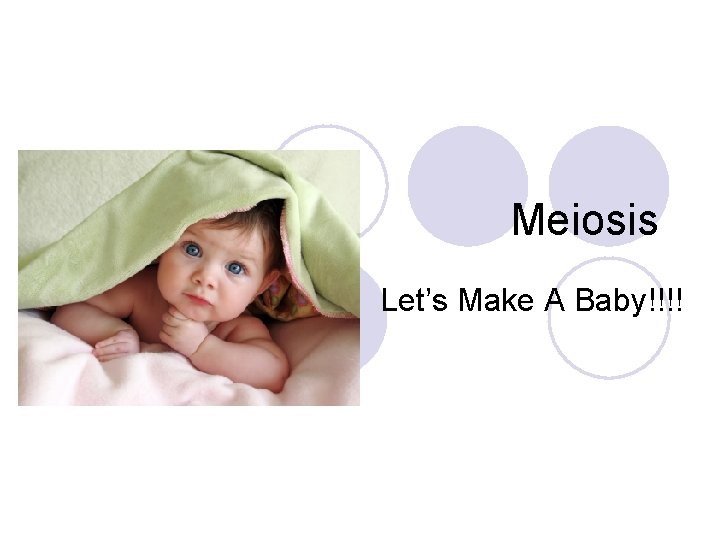 Meiosis Let’s Make A Baby!!!! 