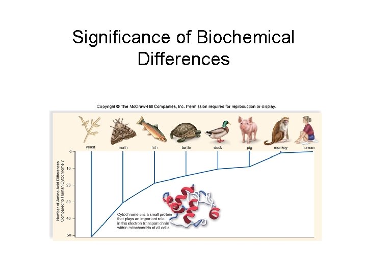 Significance of Biochemical Differences 