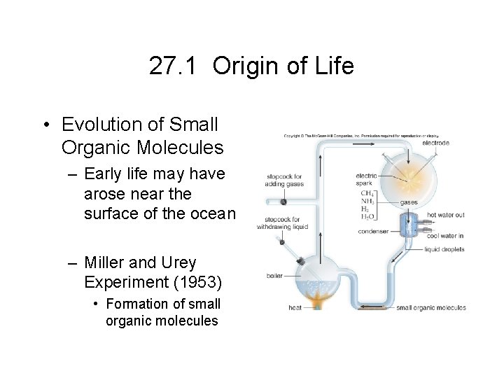 27. 1 Origin of Life • Evolution of Small Organic Molecules – Early life