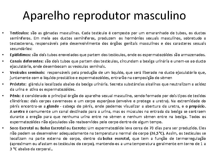 Aparelho reprodutor masculino • • Testículos: são as gônadas masculinas. Cada testículo é composto