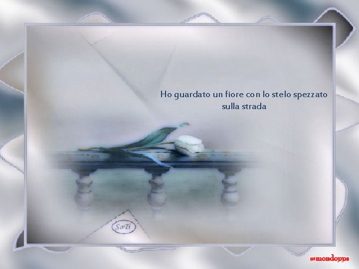 Ho guardato un fiore con lo stelo spezzato sulla strada 