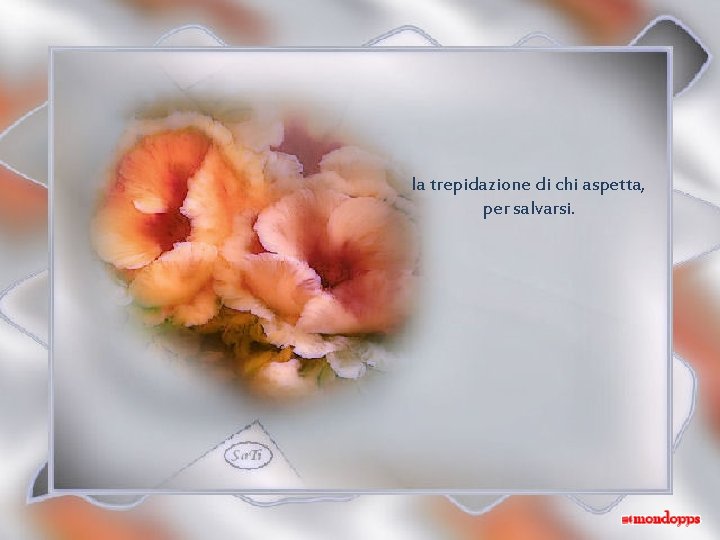 la trepidazione di chi aspetta, per salvarsi. 