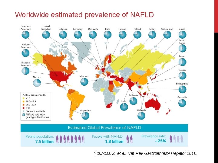 Worldwide estimated prevalence of NAFLD Younossi Z, et al. Nat Rev Gastroenterol Hepatol 2018.