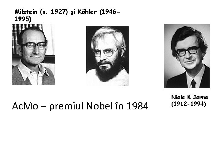 Milstein (n. 1927) şi Köhler (19461995) l antibody Ac. Mo – premiul Nobel în