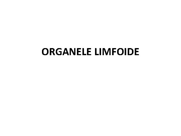 ORGANELE LIMFOIDE 