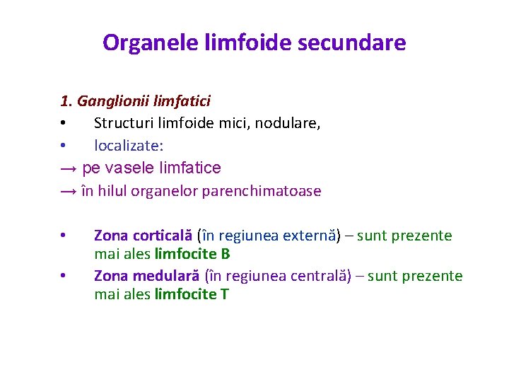 Organele limfoide secundare 1. Ganglionii limfatici • Structuri limfoide mici, nodulare, • localizate: →