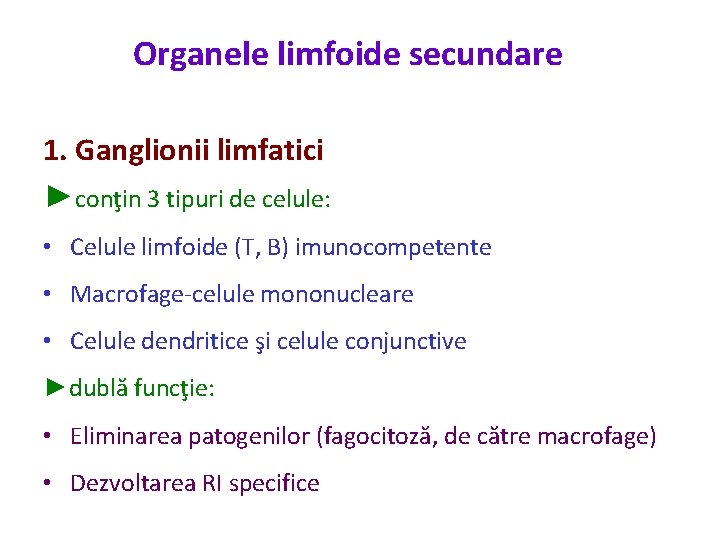Organele limfoide secundare 1. Ganglionii limfatici ►conţin 3 tipuri de celule: • Celule limfoide