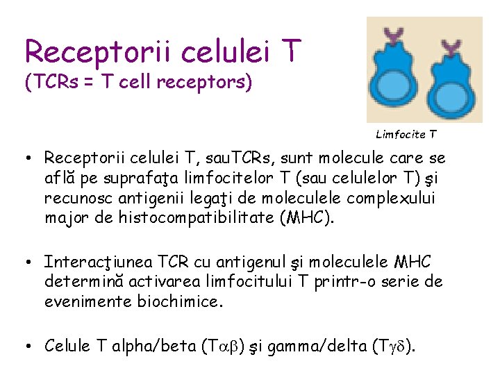 Receptorii celulei T (TCRs = T cell receptors) Limfocite T • Receptorii celulei T,