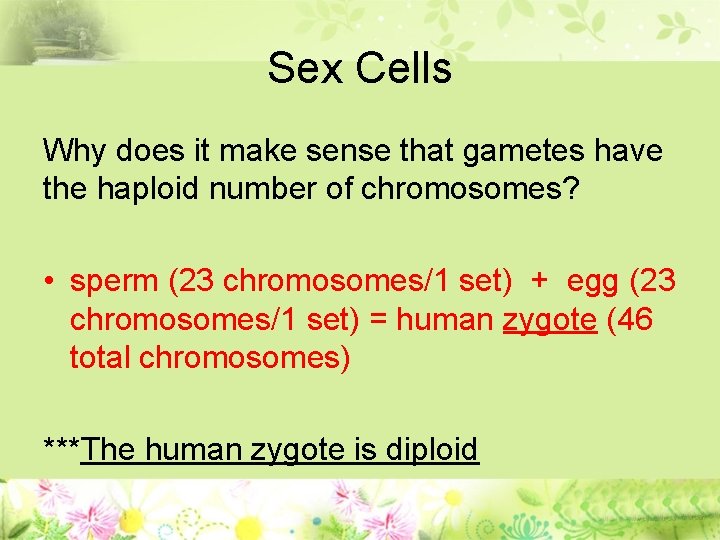 Sex Cells Why does it make sense that gametes have the haploid number of