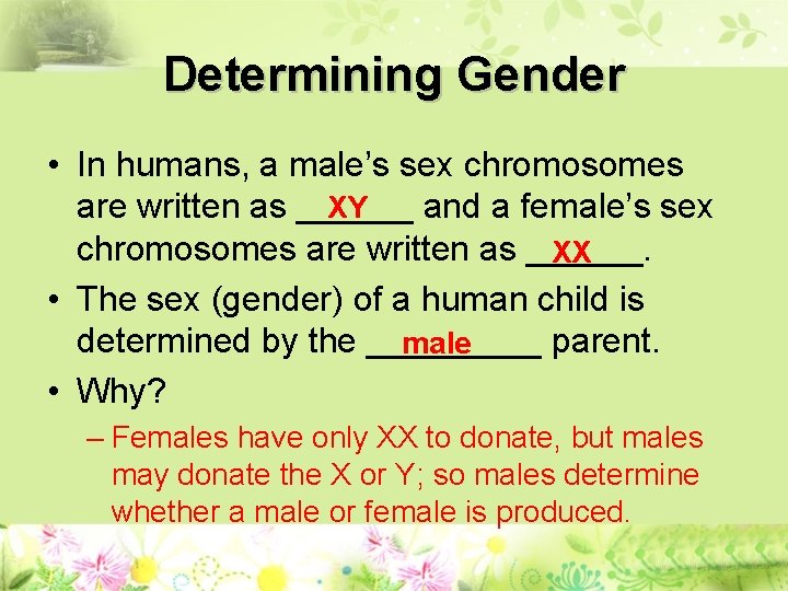 Determining Gender • In humans, a male’s sex chromosomes XY are written as ______