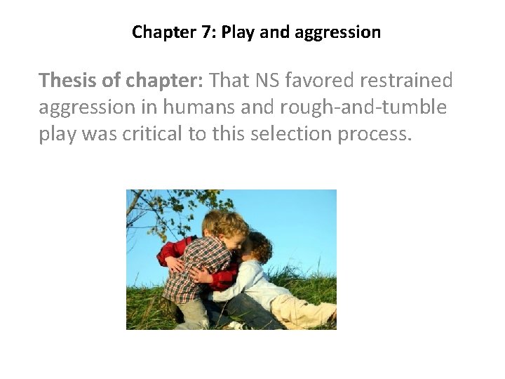 Chapter 7 Play and aggression Thesis of chapter
