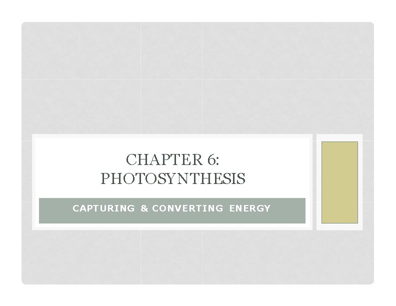 CHAPTER 6: PHOTOSYNTHESIS CAPTURING & CONVERTING ENERGY 