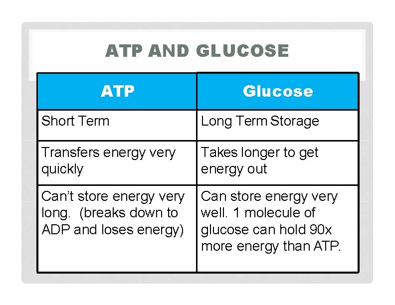 ATP AND GLUCOSE ATP Glucose Short Term Long Term Storage Transfers energy very quickly
