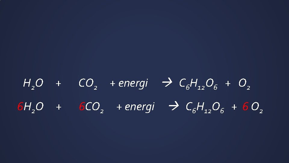 H 2 O + CO 2 6 H 2 O + 6 CO 2