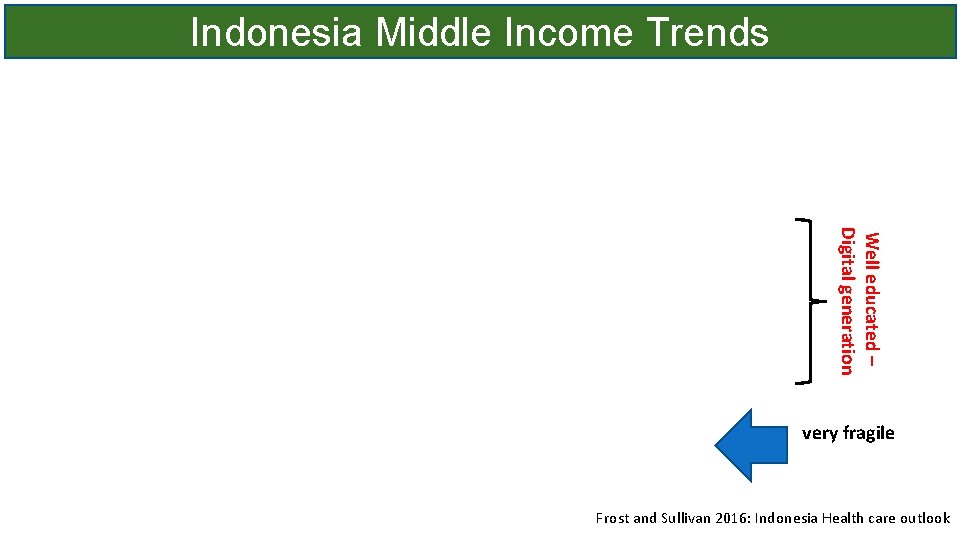 Indonesia Middle Income Trends Well educated – Digital generation very fragile Frost and Sullivan