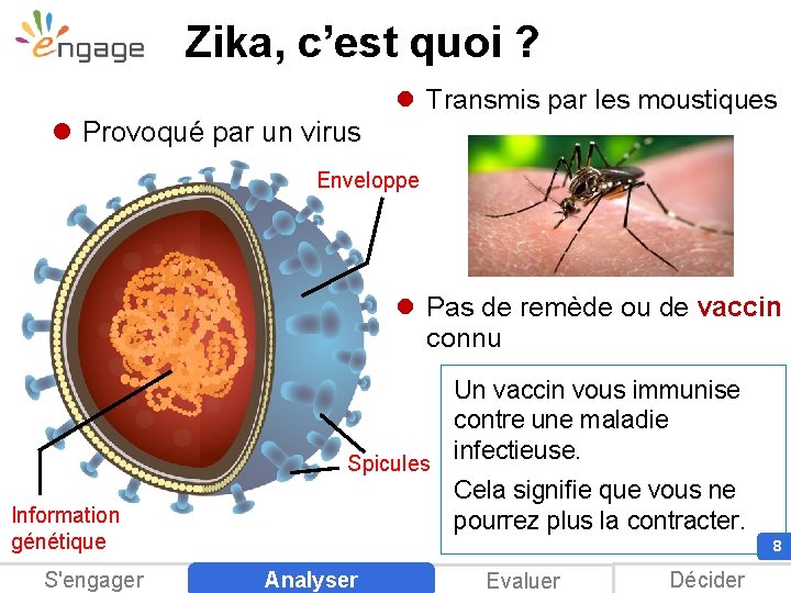 Zika, c’est quoi ? l Transmis par les moustiques l Provoqué par un virus