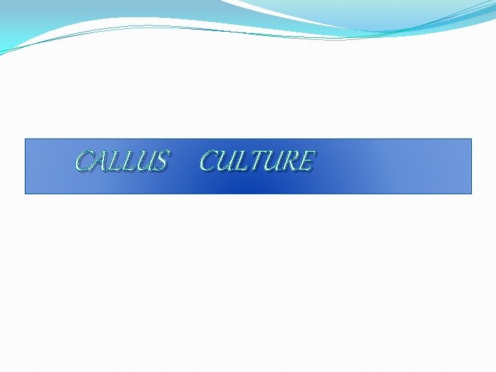CALLUS CULTURE 