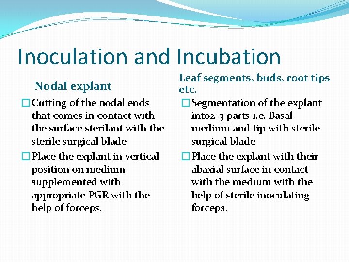 Inoculation and Incubation Nodal explant �Cutting of the nodal ends that comes in contact