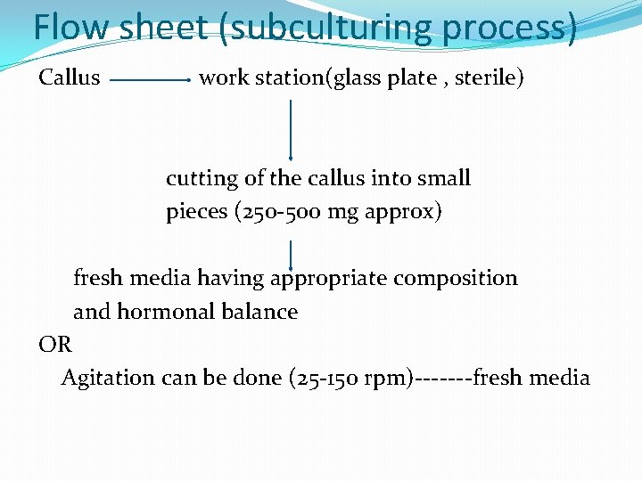 Flow sheet (subculturing process) Callus work station(glass plate , sterile) cutting of the callus