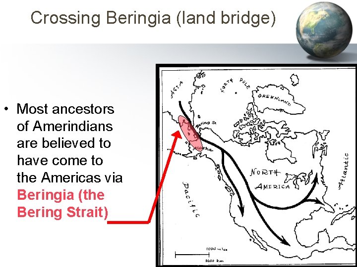 Crossing Beringia (land bridge) • Most ancestors of Amerindians are believed to have come